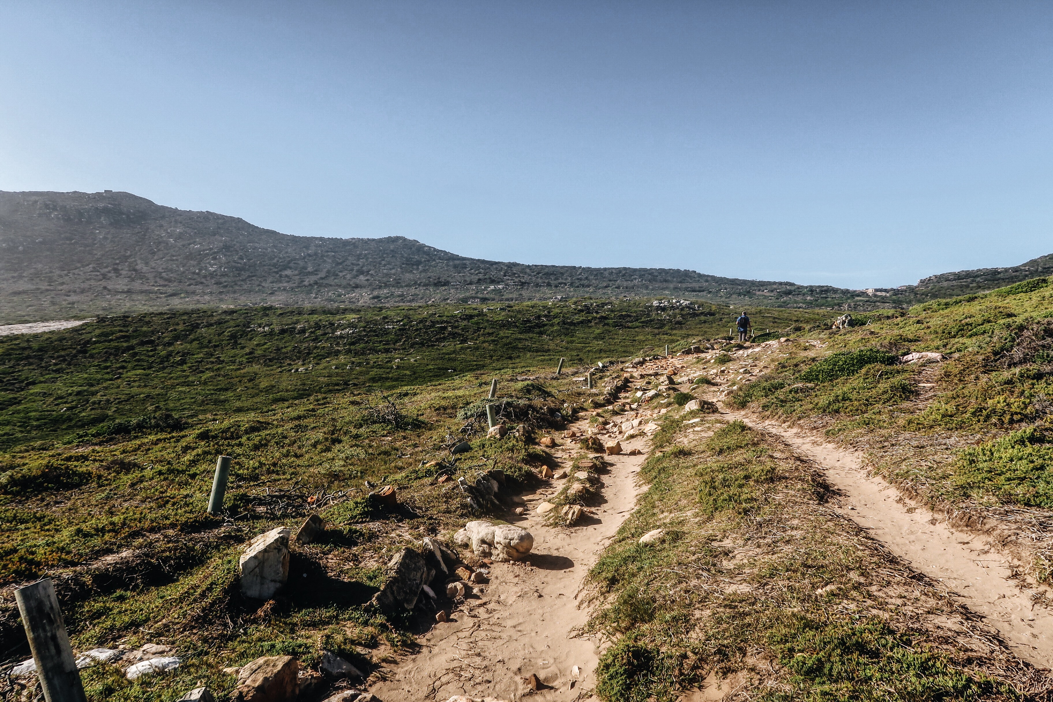 Processed with VSCO with a6 preset