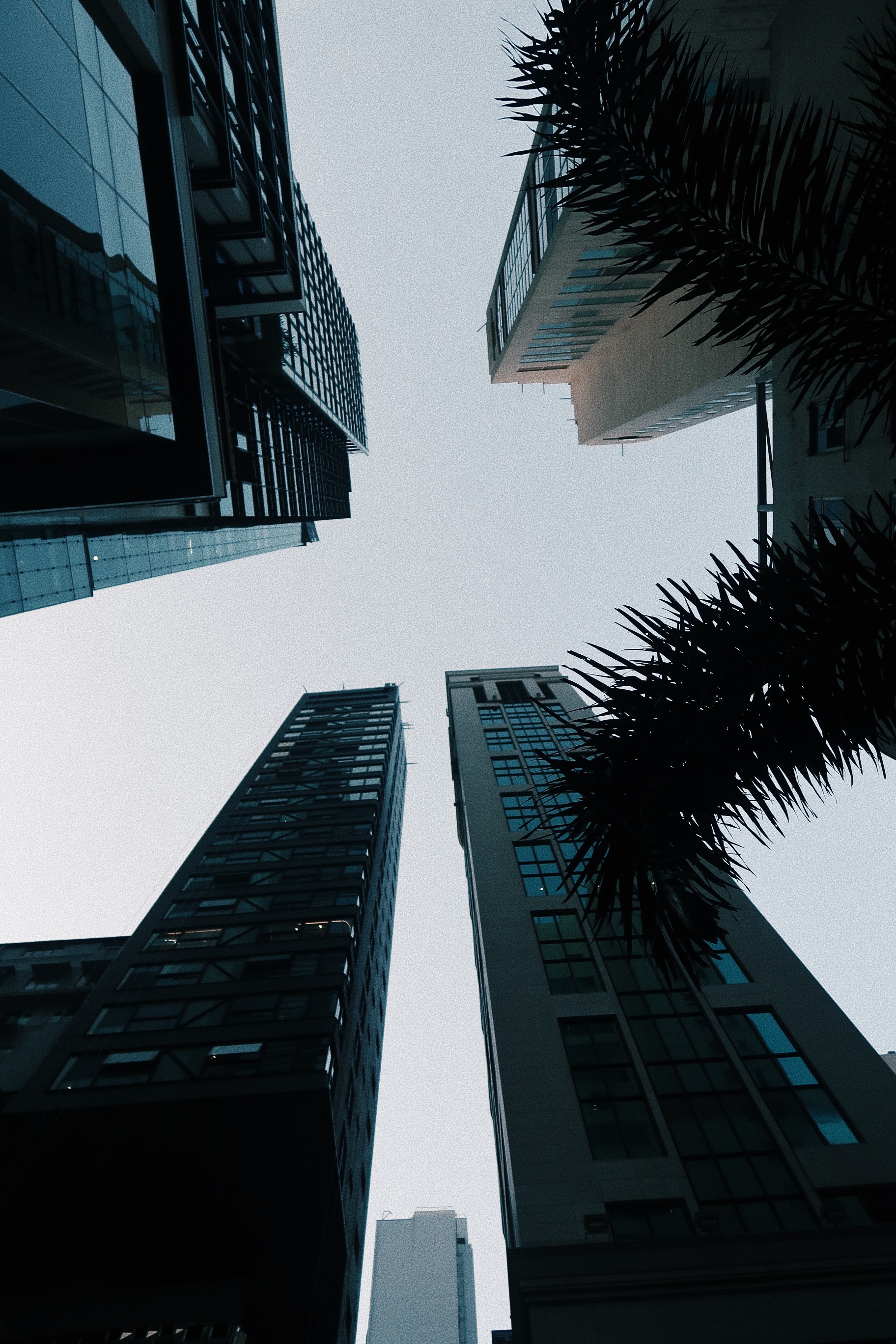 Processed with VSCO with j4 preset