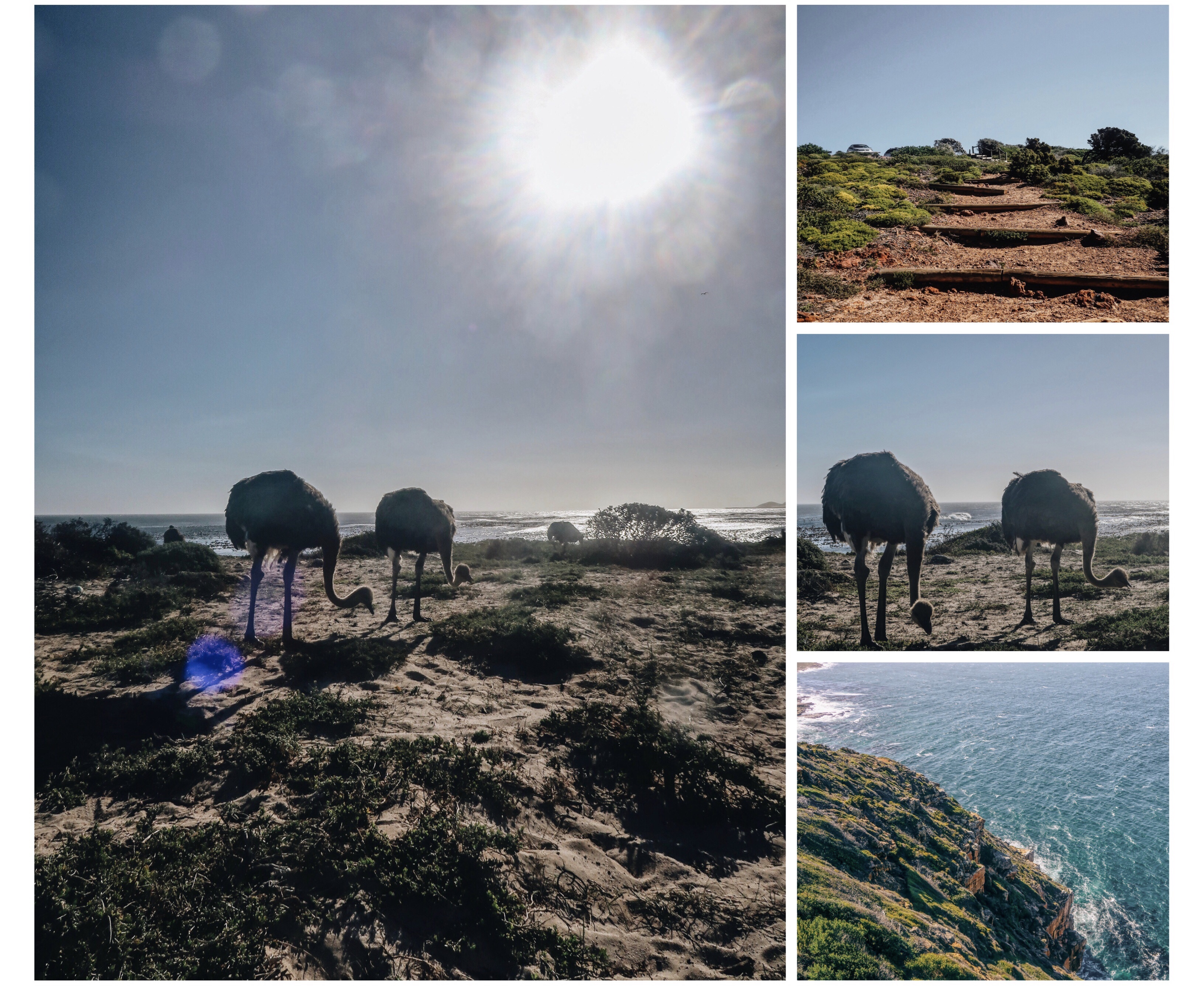 Processed with MOLDIV