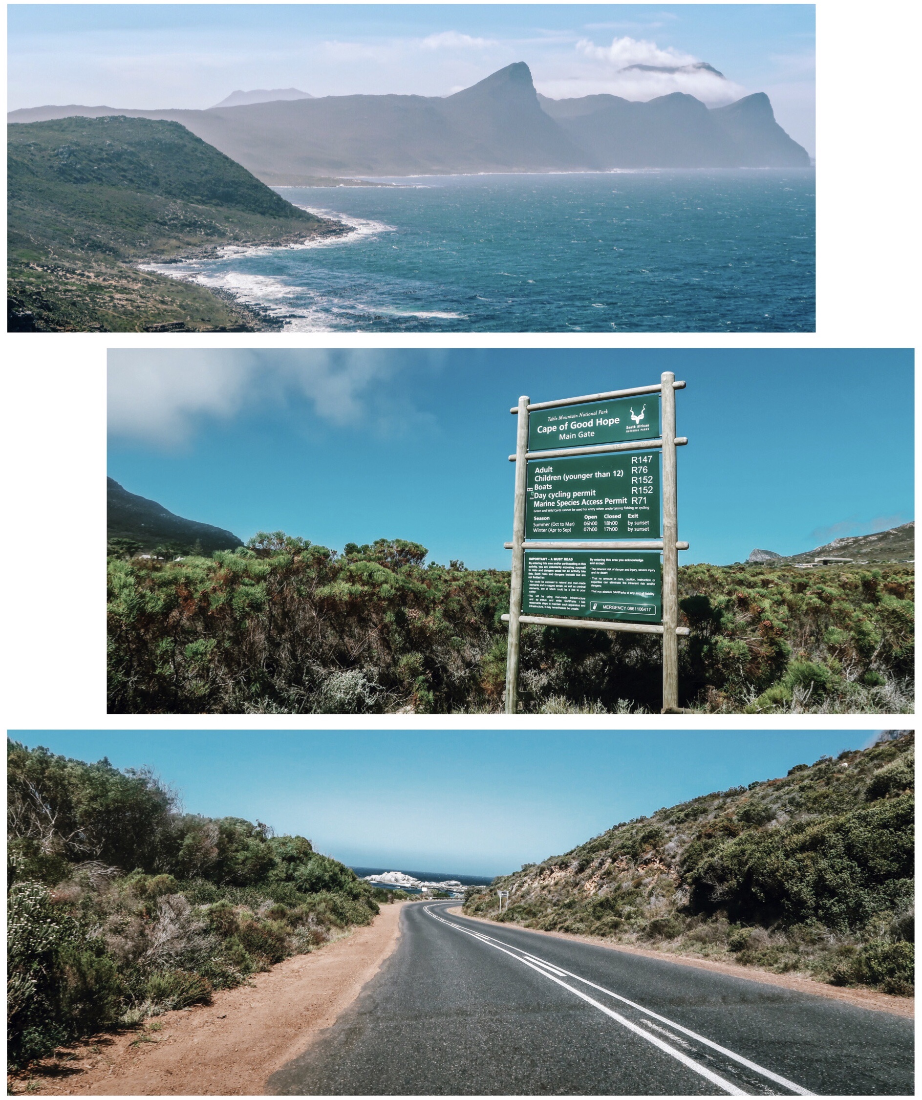 Processed with MOLDIV