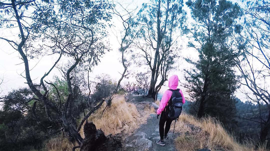 12967956_10209112449189181_1245109716729352084_o