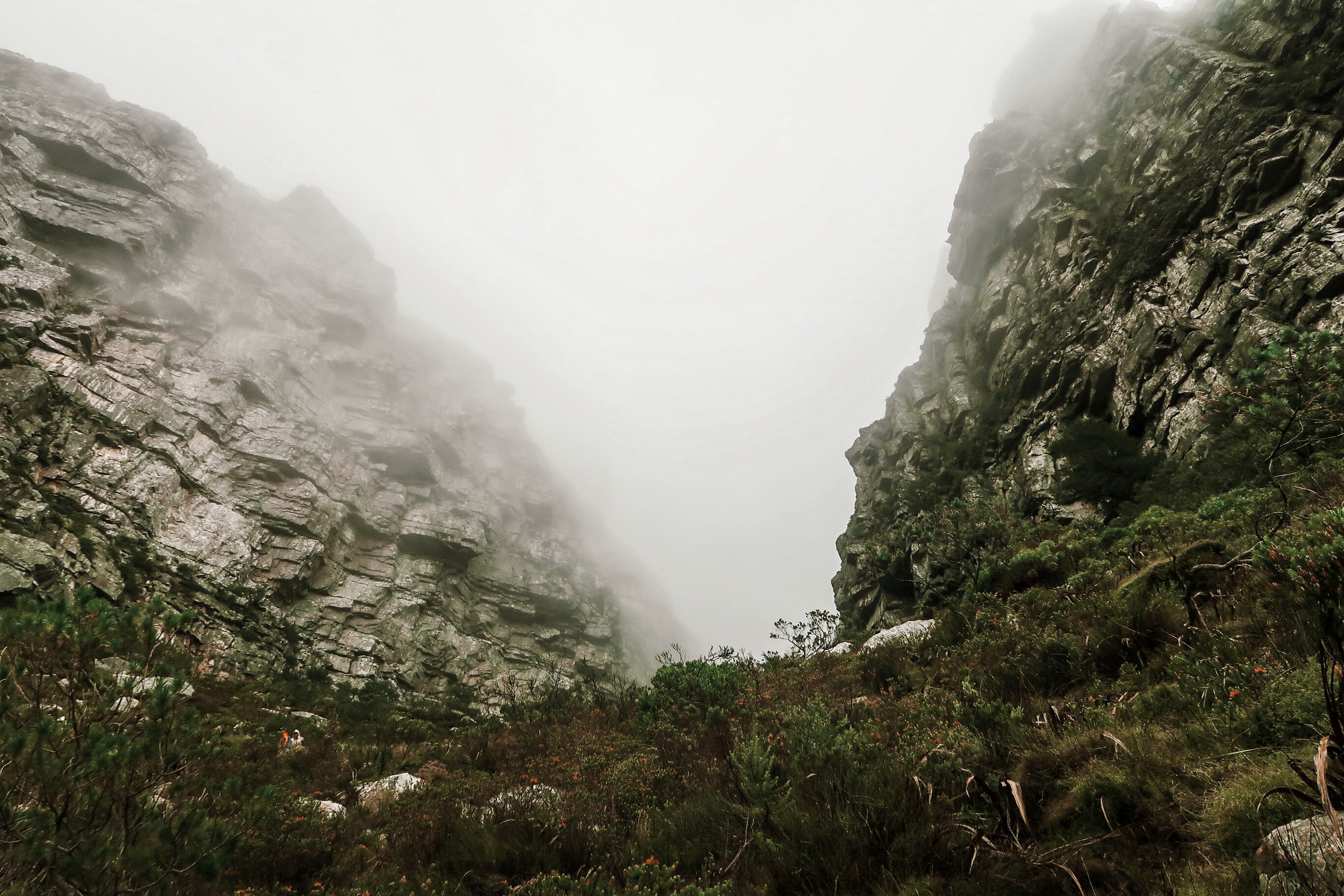 Processed with VSCO with j6 preset