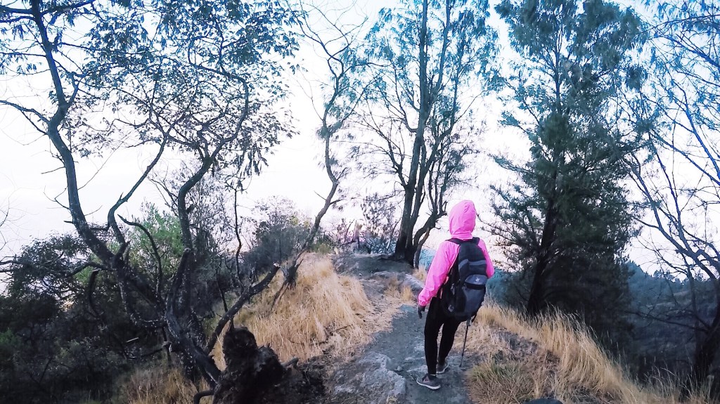 Mt. Agung: Hiking Up The Highest Mountain In&nbsp;Bali