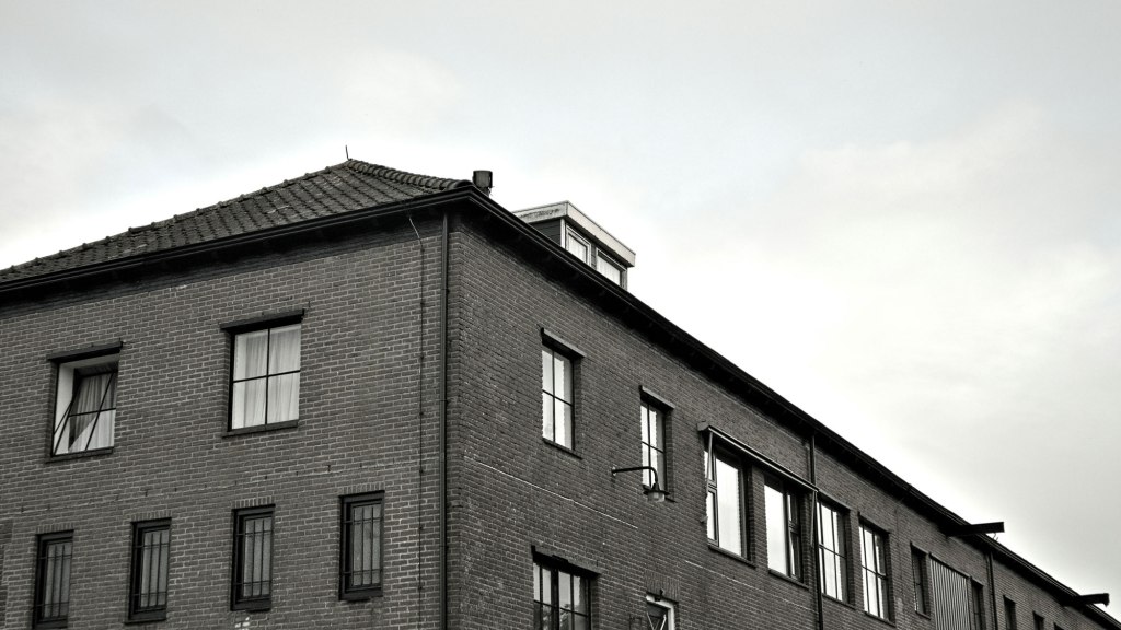 Why do we love the things that we&nbsp;hate?