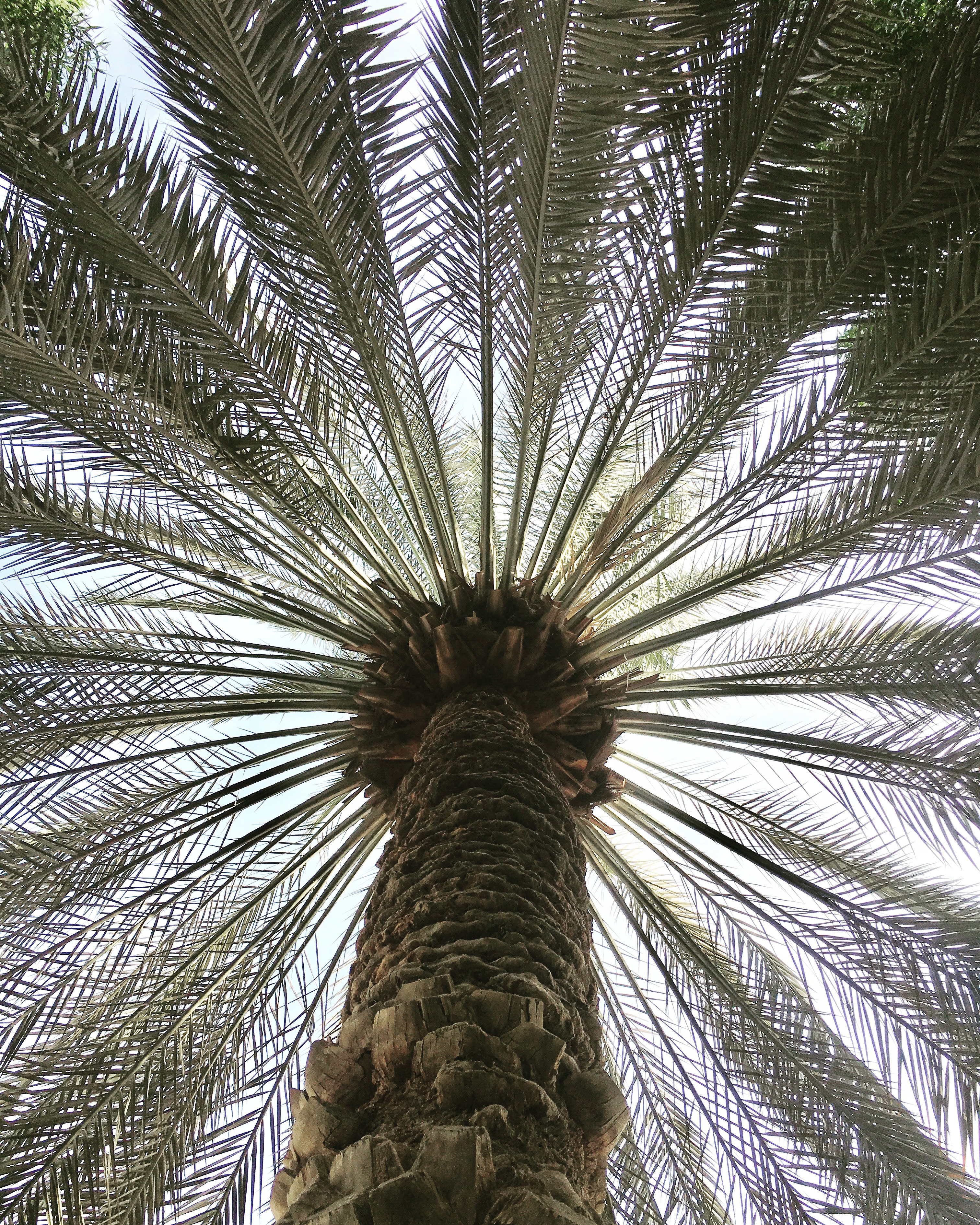 b-joy-abraham-1139831-unsplash